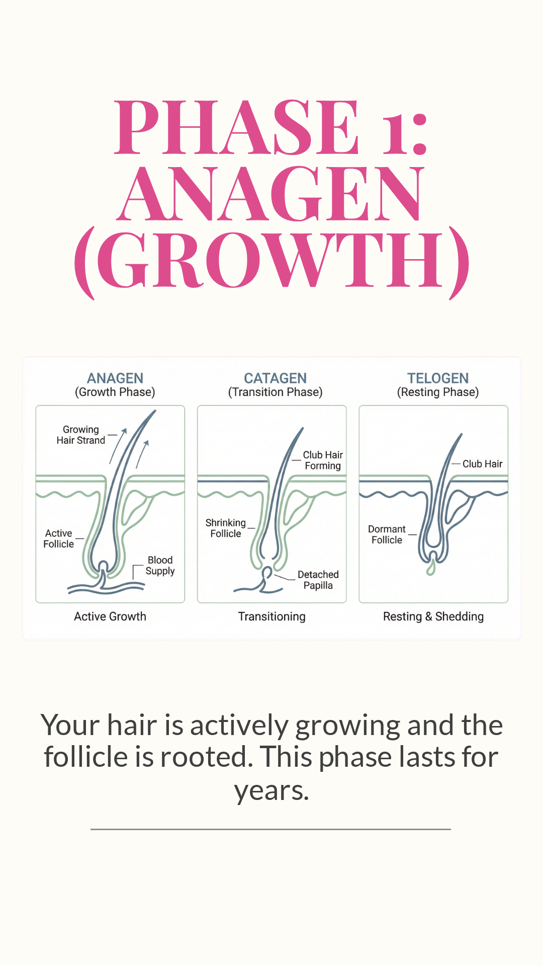 Educational Graphic 9x16 V1