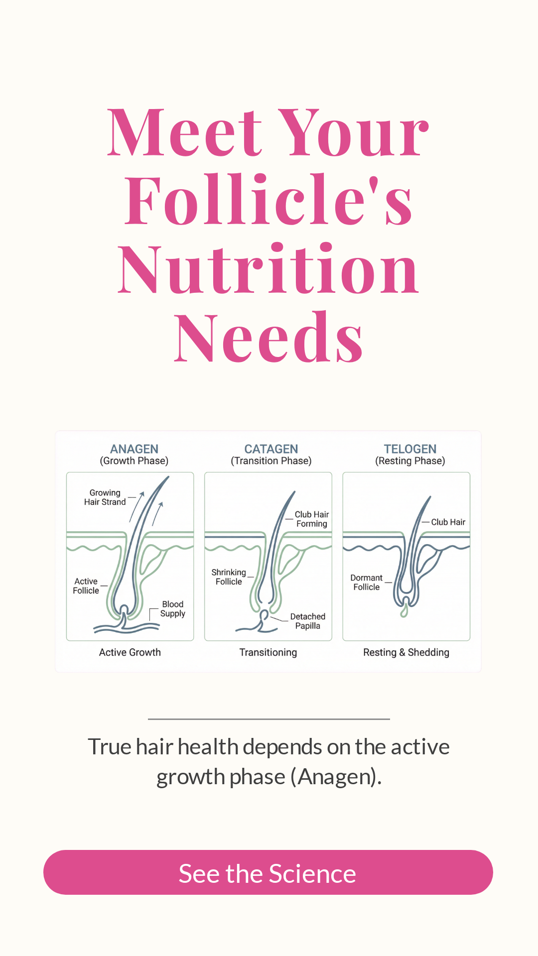 Ingredient Graphic 9x16 V2